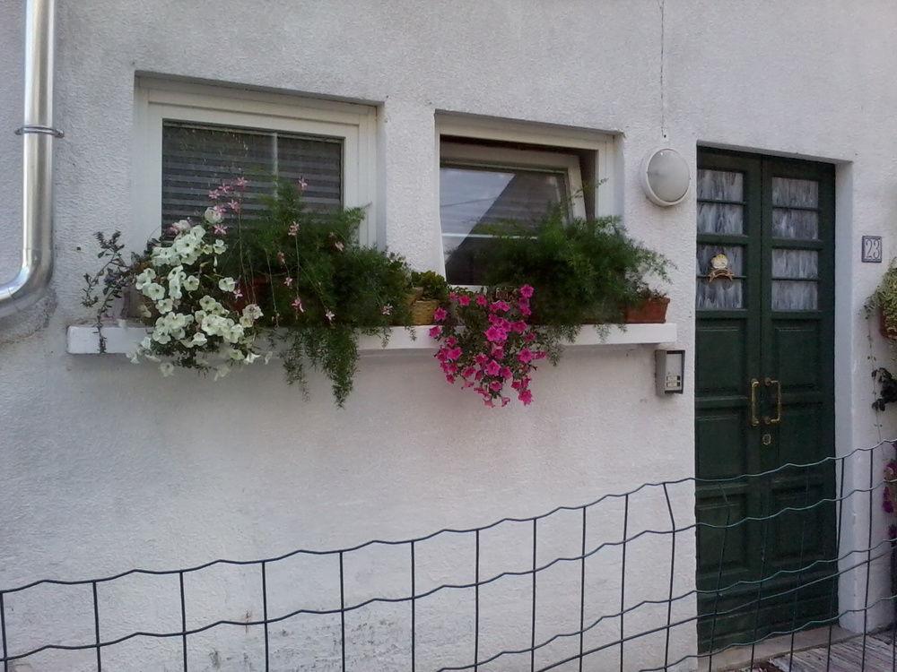 B&B Cappuccini Schio Eksteriør bilde